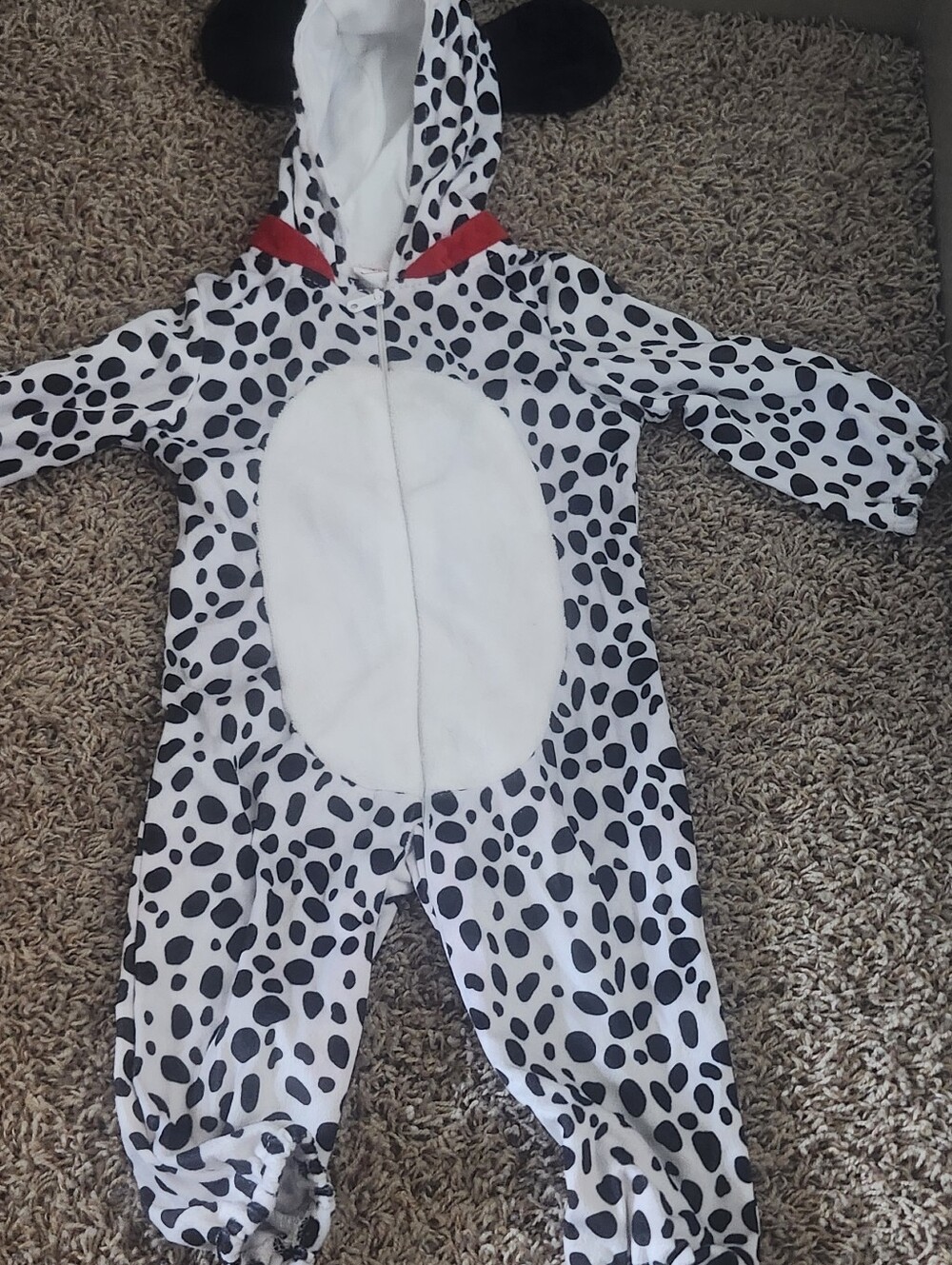 Dqlmation Costume